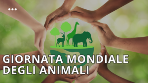 Giornata internazionale animali